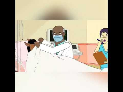Why the long face? - Bojack Horseman último episodio