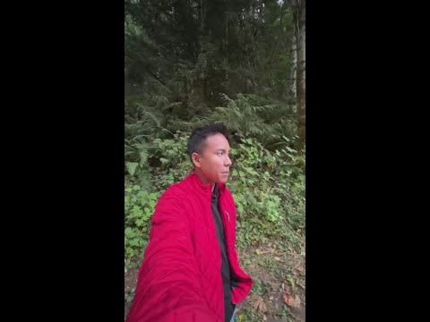 JBLM helicopter crashes near Summit Lake