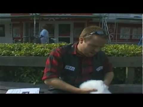 Rockerne Svinene - Afsnit 14