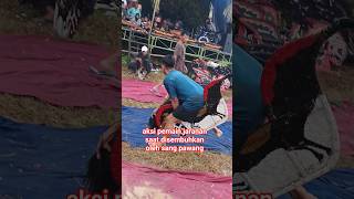 Download lagu aksi pemain jaranan saat disembuhkan sang pawang mp3