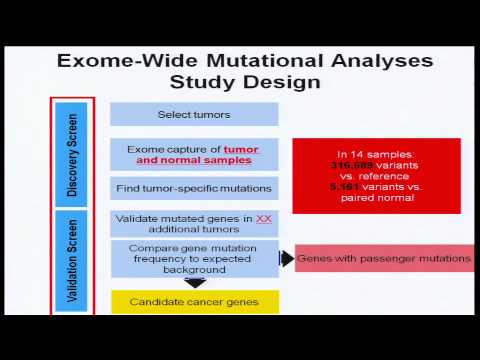 Whole-Exome Sequencing to Identify Somatic Variants in Cancer - Yardena Samuels
