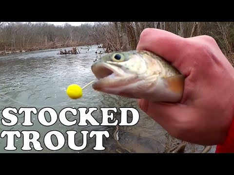 Stocked Trout Fishing Tips for Beginners - How to Catch Stocked Trout