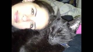 Midnight Jones 2003 to 2016  Song by Phil Coulter - In the Arms of an Angel