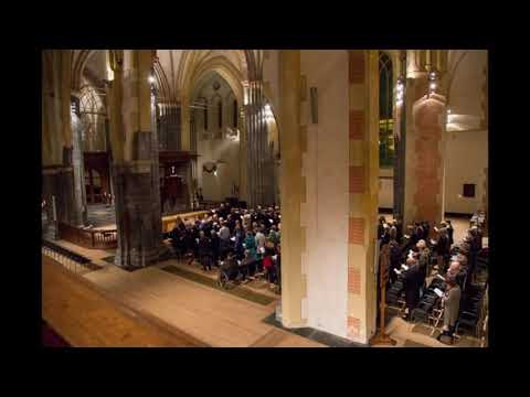 Lied 263, Wees Gij mijn toevlucht (Be Thou my vision)