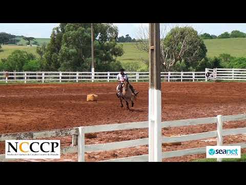 NCCCP 2022 - Andaduras / Figura / VSP e Esbarradas