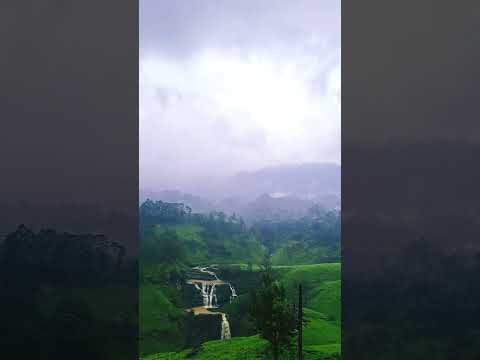 Another rainy day 💚 #rain #srilanka #mountains #waterfall
