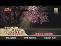 1 箱根八里半次郎【日】【日語版 箱根八里の半次郎】 富立衛星電視台 歌聲滿天下 蘋果華 麗華 粉絲團 20220802