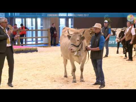 Voir la vidéo : Ring de présentation du 26 février 2017, matin 1
