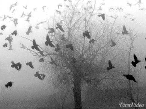 PLK - Przodkowie feat. GBZ, WeeD