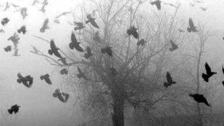 PLK - Przodkowie feat. GBZ, WeeD