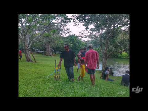 Iarowari Flower by Banex Owa