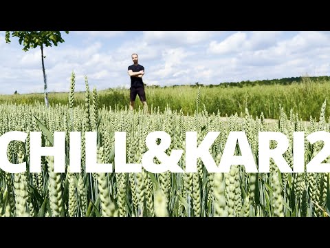 EFKEJ - CHILL A KARI 2 (OFFICIAL VIDEO)