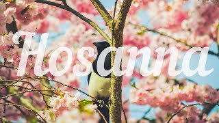 Selah - Hosanna (lyrics)