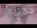DJ Not You Tiktok Viral DJ Kitty Remix