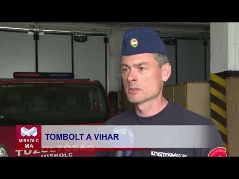 Videó előnézet