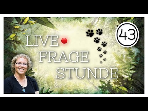 Fragestunde Nr 43 Katja Brandis