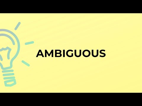 What is the meaning of the word AMBIGUOUS?