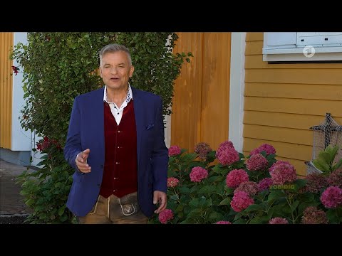 Markus Wolfahrt - Mitten im Leben - (Immer wieder sonntags, 31.08.2025)