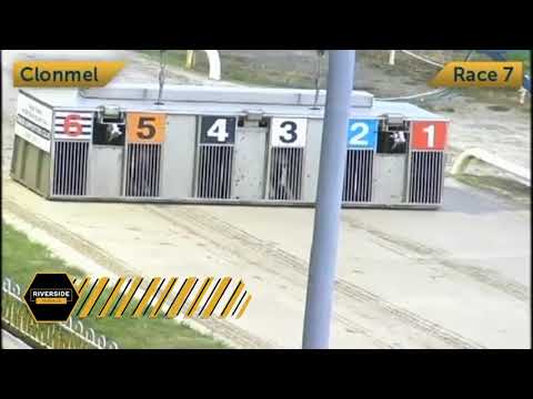 Doolin Duke - Larry O'Rourke National Produce Stakes Semi Final