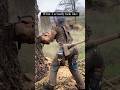 What I Look Like Vs What People Think A Woman That Cuts Timber For A Living Should Look Like