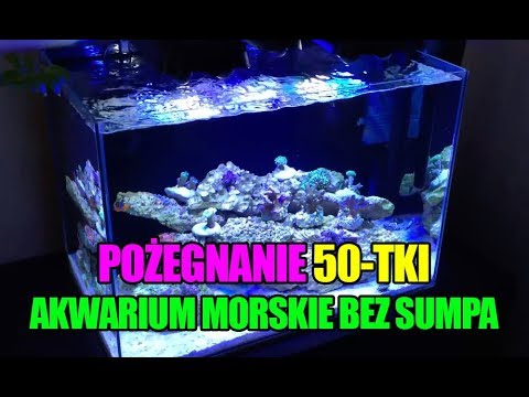 (35) MyReef 50 - Na pożegnanie 50-tki - Akwarium morskie bez sumpa na kaskadzie - Reef aquarium