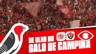 DE OLHO NO GALO DE CAMPINA - CRB X VITÓRIA