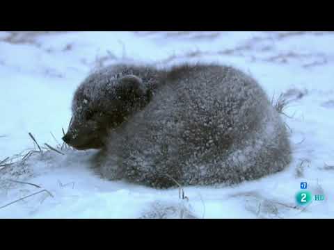 Los segundones | Grandes Documentales