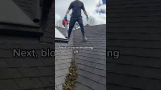 How To Clean A Mossy Roof (Step By Step)