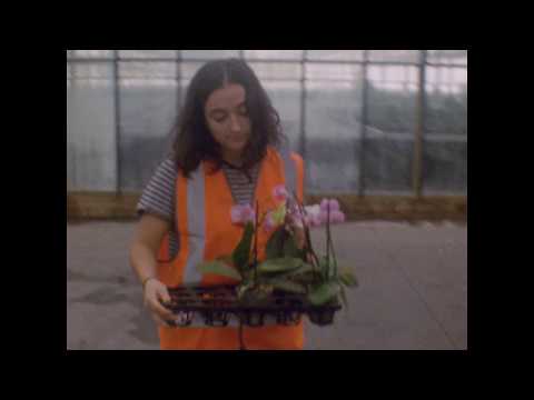 The Hunter Express - Weekdays & Weekends  OFFICIAL VIDEO