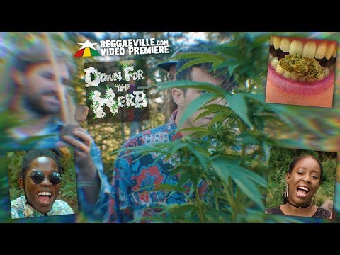 Dub Kartel feat. Blvk H3ro & Jah'mila - Down For The Herb [Official Video 2018]