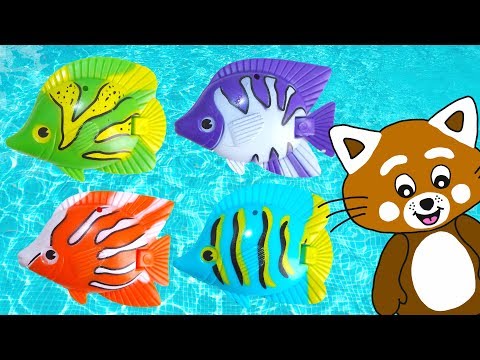 Pukkins leker i poolen med leksaksfiskar - Roligt barnprogram - Lek med oss
