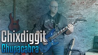Chixdiggit - chupacabra guitar cover and lyrics video