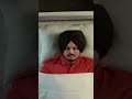 THE LAST WISH Official Video Tiger Halwara The Kidd Latest Punjabi Song 2024 5911 Records