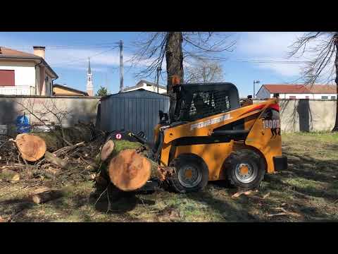 Benna forestale mordente a noleggio