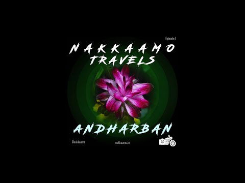 A Day in the Dark Forest of Maharashtra: Andharban Trek Podcast