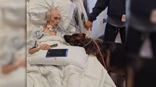 Dying man's final wish: Find his beloved German Shepherds a forever home