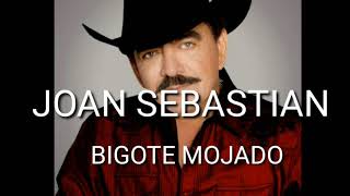Joan sebastian  ( bigote mojado letra )