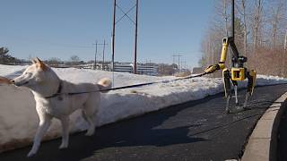 The To Do List with Spot | Boston Dynamics