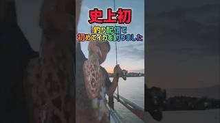 ［エギング］初めて釣り配信中に釣れた男 #釣り #エギング #アオリイカ #コウイカ