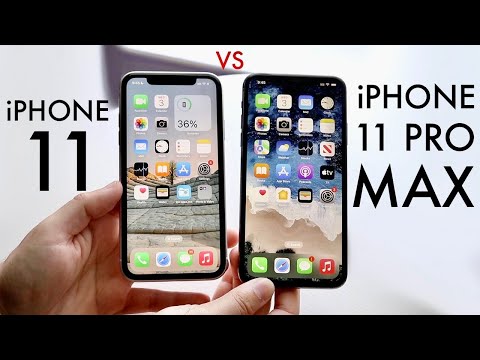iPhone 11 Vs iPhone 11 Pro Max In 2022! (Comparison) (Review)