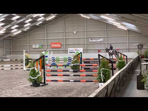 Chaccolot PS 6YO (Chacco blue x Contender) - Merselo 17-12-2021