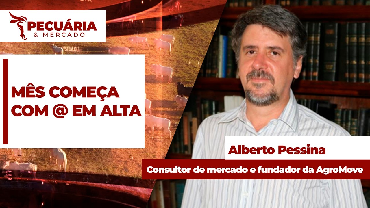 Mês começa com preço da @ em alta e anúncia de bloqueio da União Europeia