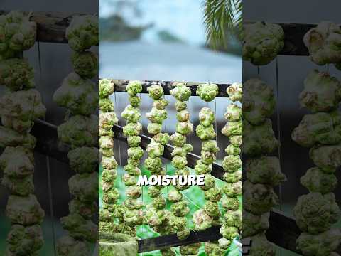 How the Chinese Ferment Pickled Mustard Greens for Two Years