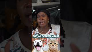 You May Be Breaking THE LAW If You've Done This - Camper RV Life #shorts #camping #outdoors