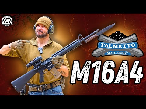 PSA Made My Service Rifle! | The M16A4
