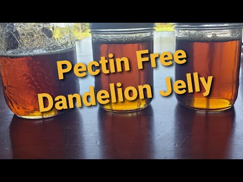 1900's Poor Man's Honey/Dandelion Jelly