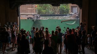 Discover the Orientarium ZOO Łódź | English version