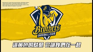 [情報] 2021全新應援曲 黃色默契