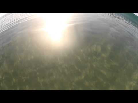 Currimundi 28/05/2014