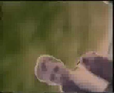 Republic-Nagy bajban...